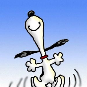 Meet your Posher, Amir